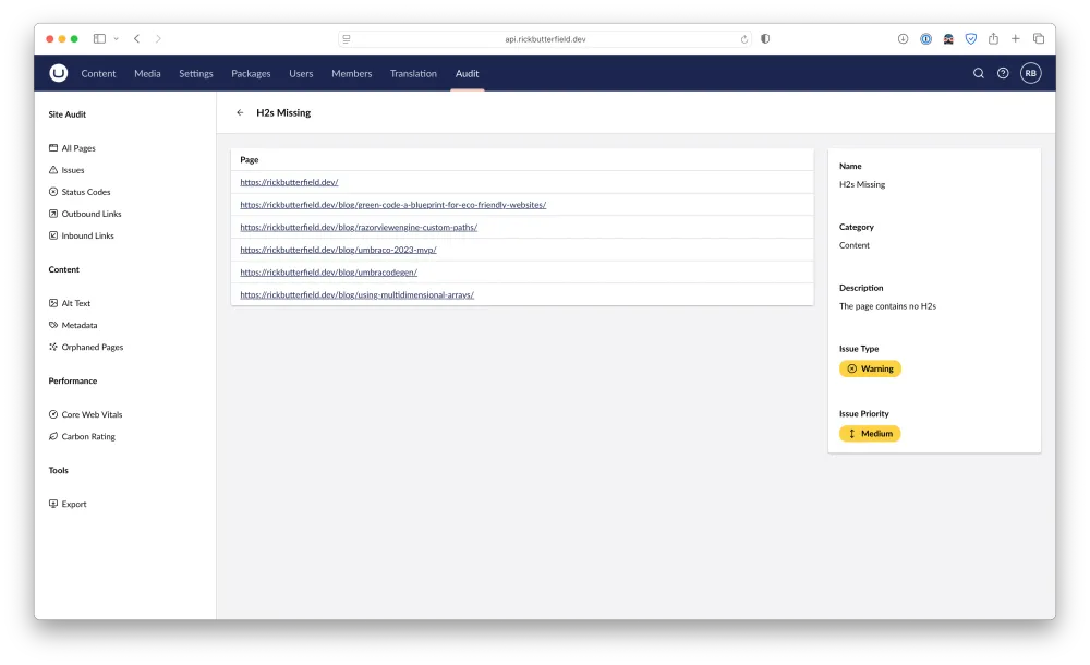 A breakdown of pages with missing H2s as seen in the Issues page